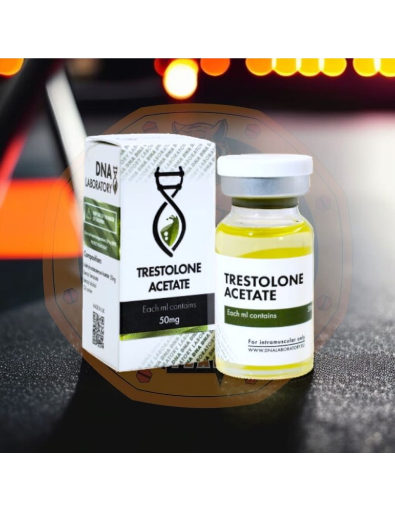 DNA - MENT DNA - MENT