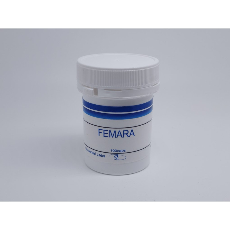UNIVERSAL - LETROZOL