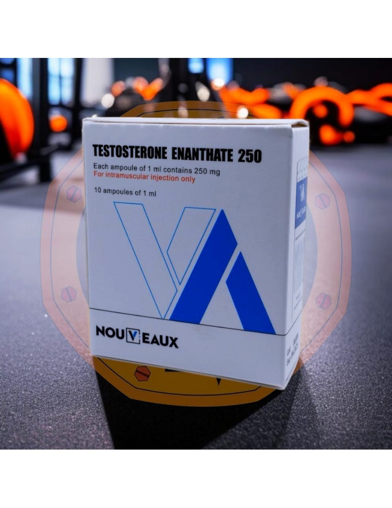 NOUVEAUX - TESTOSTERONE ENANTHATE