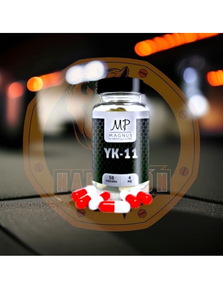 MAGNUS - YK11 MAGNUS - YK11