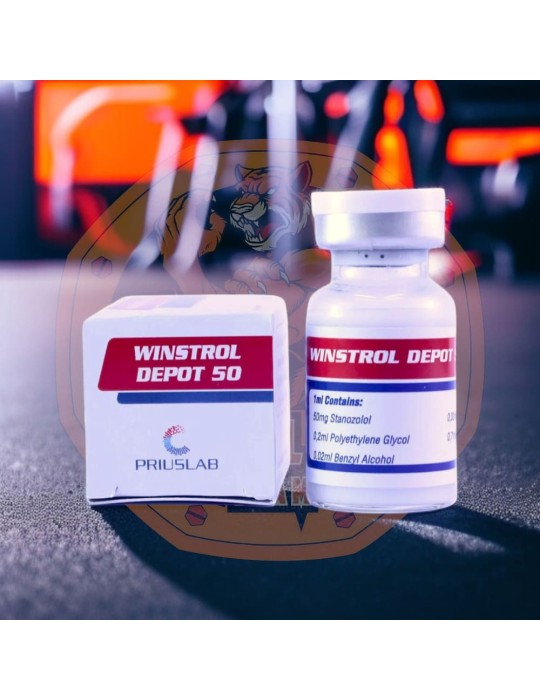 PRIUS - WINSTROL DEPOT 50 PRIUS - WINSTROL DEPOT 50