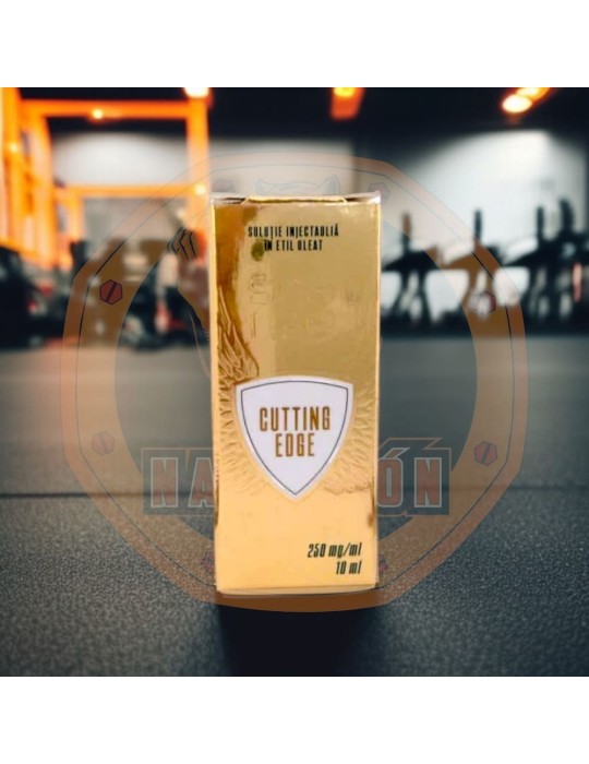 SQS - CUTTING EDGE SQS - CUTTING EDGE