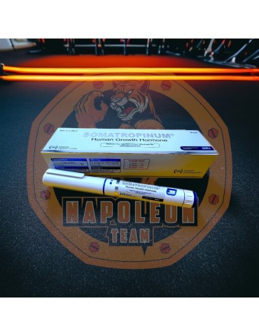 SIGNUM - SOMATROPINUM (HGH 60IU PEN) 2